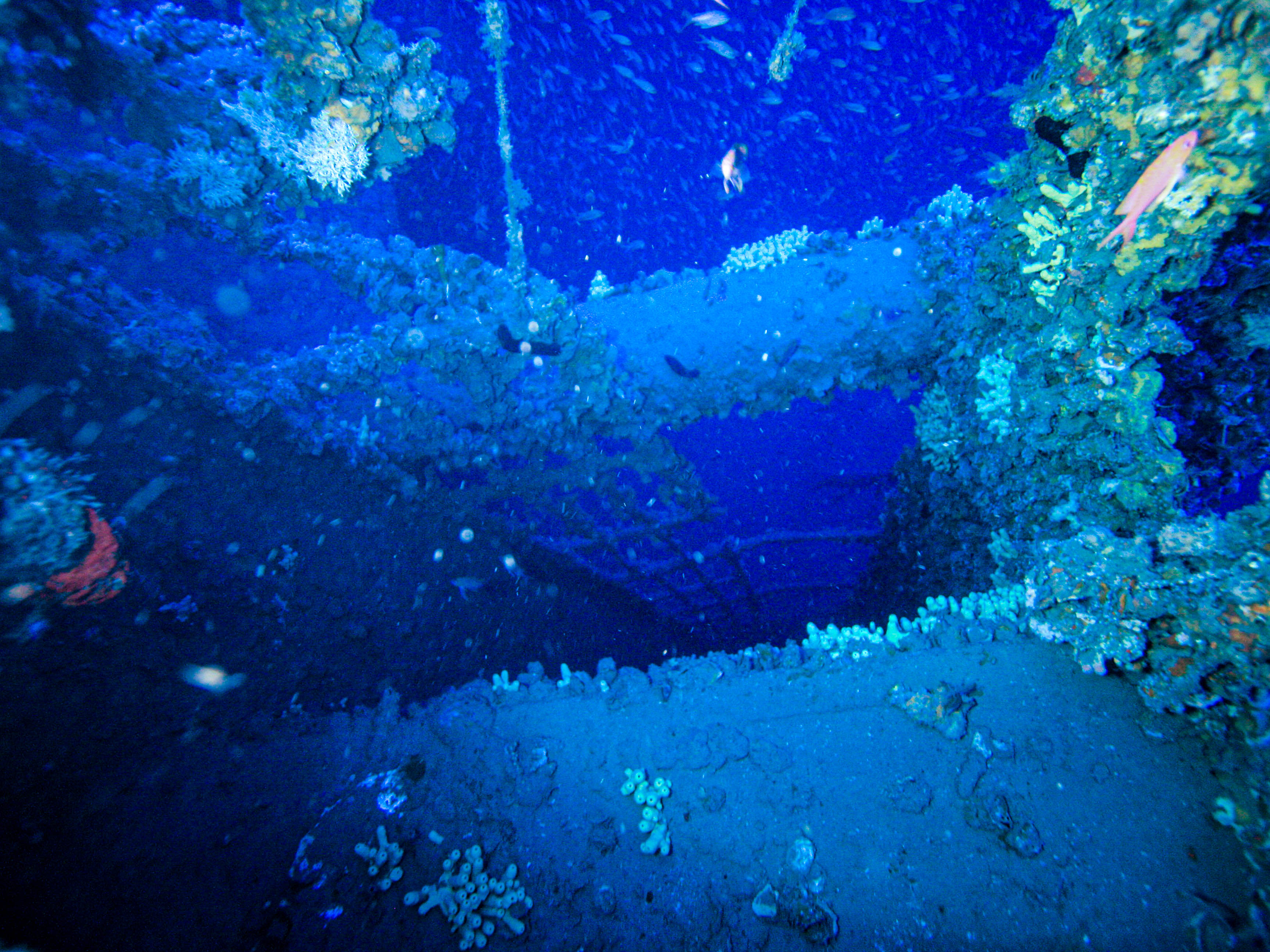 Relitto TIRPITZ